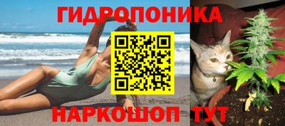 мяу мяу мука Заводоуковск