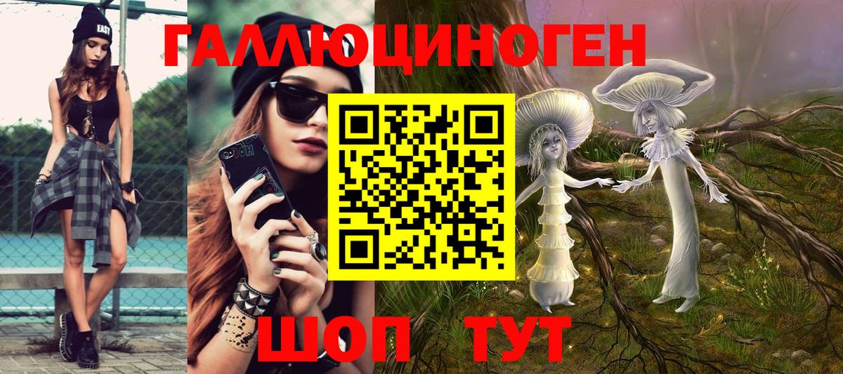 Псилоцибиновые грибы Psilocybe  Вход с VPN  Соль-Илецк 